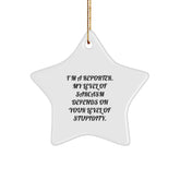 Reporter's Gift: Funny Star Ornament with Sarcasm Quote, Gifts from Friends, Christmas Unique Gifts for Reporters - Image 1